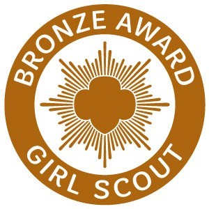 Girl Scout Bronze Award Girl Scout Bronze Award pin
