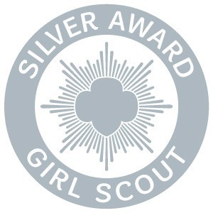 Girl Scout Silver Award Girl Scout Silver Award pin