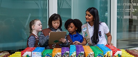 For Cookie Sellers Girl Scouts holding cookie boxes